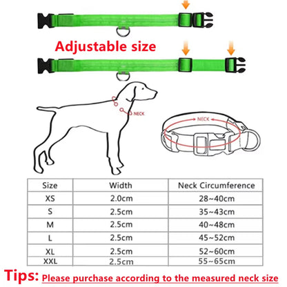 Dog Collar Nylon LED Night Safety Flashing Glow In The Dark Pet Dog Leash pet Dogs Luminous Fluorescent dog accessories collar