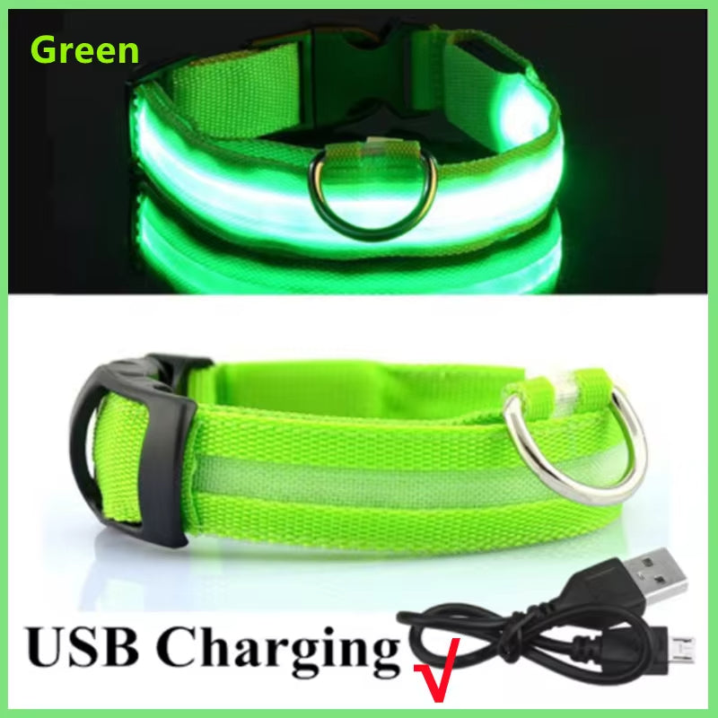 Dog Collar Nylon LED Night Safety Flashing Glow In The Dark Pet Dog Leash pet Dogs Luminous Fluorescent dog accessories collar