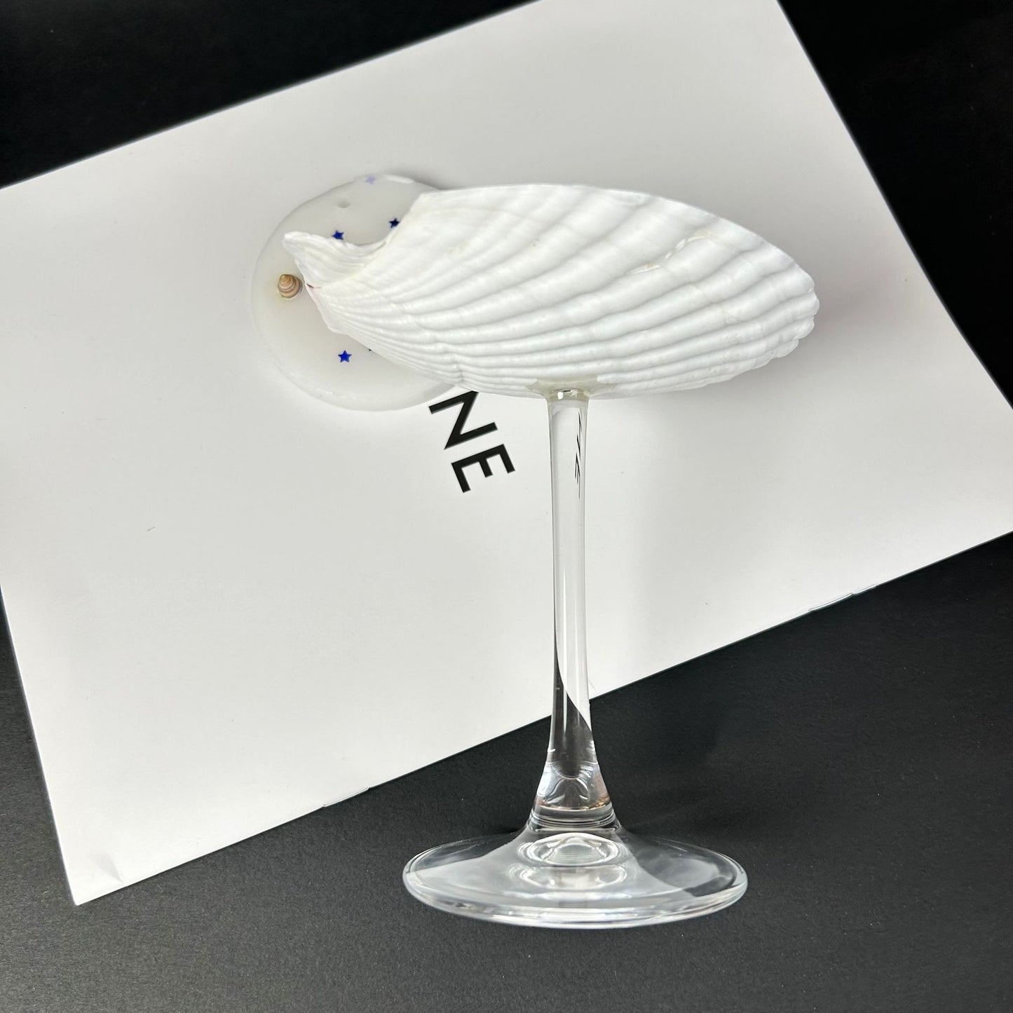 Conch Shell Wine or Cocktail Glass