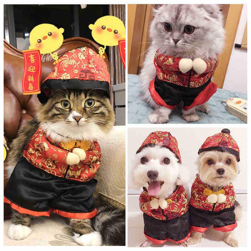 Funny Pet Clothes | Cute and Comfortable Costume for Small and Medium Dogs